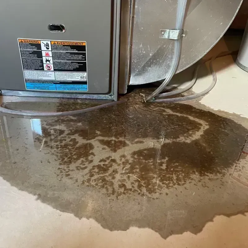 Appliance Leak Cleanup in Purcellville, VA